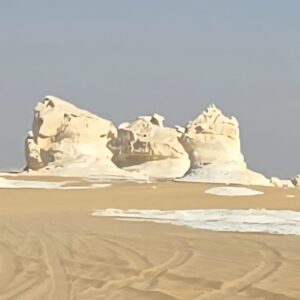 WhatsApp Image 2025-11-24 at 17.51.00