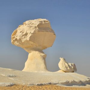 WhatsApp Image 2025-11-24 at 17.51.01 (1)