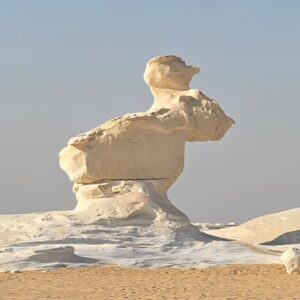 WhatsApp Image 2025-11-24 at 17.51.01 (2)