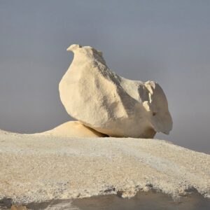 WhatsApp Image 2025-11-24 at 17.51.01