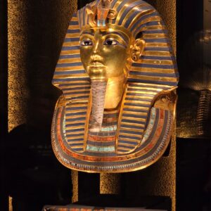 WhatsApp Image 2025-11-24 at 17.53.02