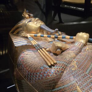 WhatsApp Image 2025-11-24 at 17.53.03 (1)