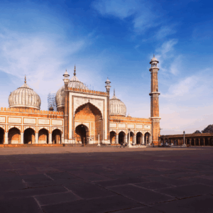 Viagem em grupo para Índia e Nepal com a Caprice Turismo (2)