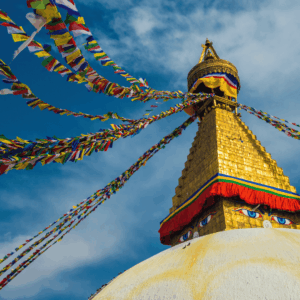 Viagem em grupo para Índia e Nepal com a Caprice Turismo (9)