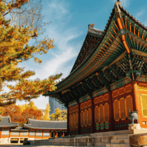 Viagem para Coreia do Sul com a Caprice Turismo (10)