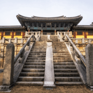 Viagem para Coreia do Sul com a Caprice Turismo (19)