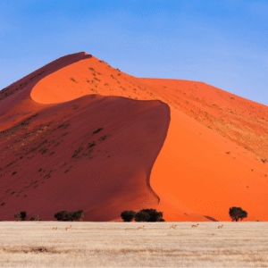 Namíbia e África do Sul (6)