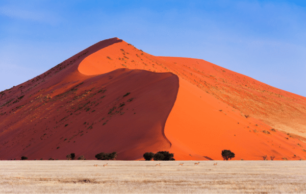 5 curiosidades sobre a Namíbia que você pode descobrir viajando com a Caprice