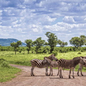 Namíbia e África do Sul (9)